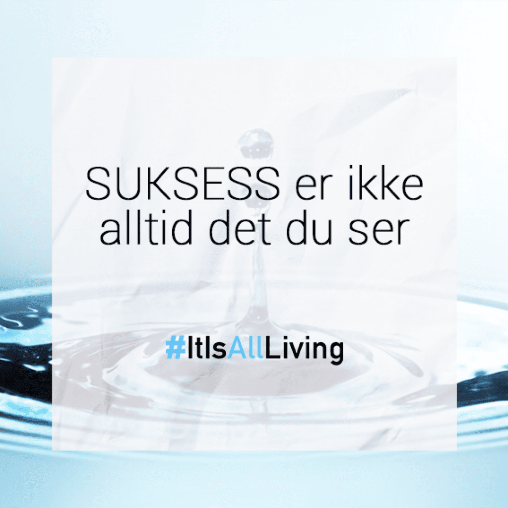 Læring og Suksess